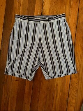 Ralph Lauren Light Blue and Navy Vertical Stripe Flat-Front Shorts